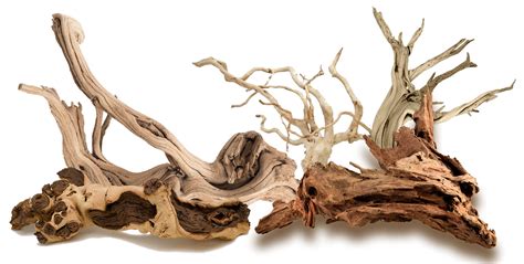 Driftwood in Aquariums - What You Should Know | Felix Smart