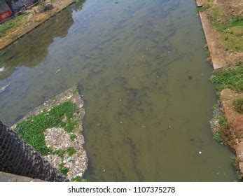 21 River Ganga; Treatment Images, Stock Photos & Vectors | Shutterstock