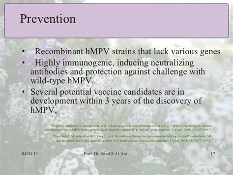 Human metapneumovirus