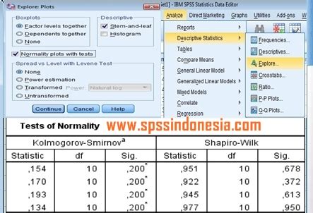 Cara Uji Normalitas untuk One Way Anova dengan SPSS Lengkap - SPSS ...