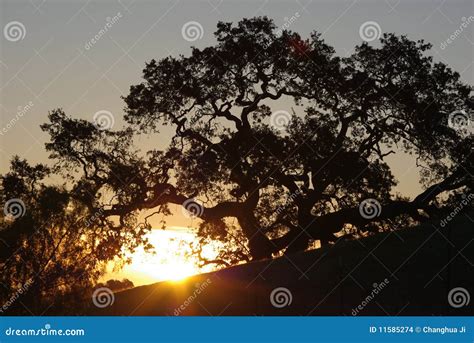 Sunrise on California Hills Stock Photo - Image of landscape, morning ...