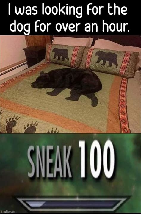 sneak 100 - Imgflip