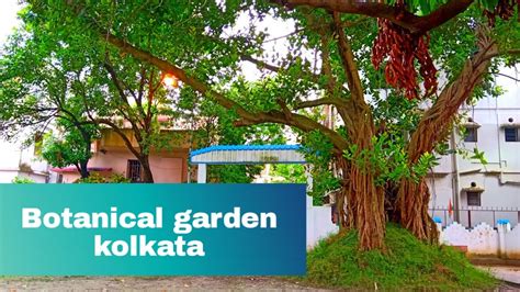 botanical garden kolkata|tour|vlog - YouTube