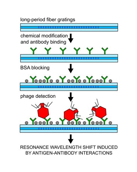 New publication in Sensors & Actuators B: Chemical! – Surface ...