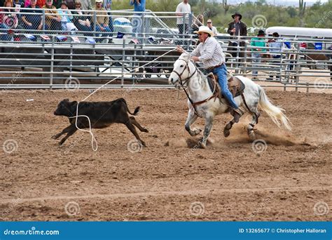 Calf roper editorial photography. Image of rope, days - 13265677