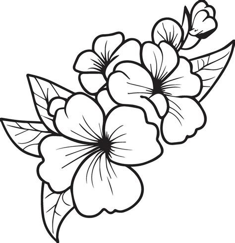 Outline print with blossoms primula flower, primrose bouquet leaves, and buds, primrose flower ...