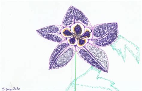 Purple Flower Drawings, Paintings and Photographs for Creative ...