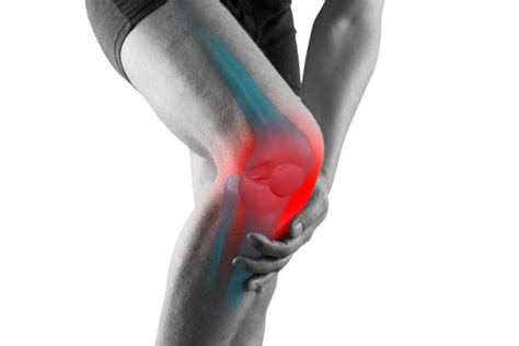 Knee Anatomy Stock Photos, Pictures & Royalty-Free Images - iStock