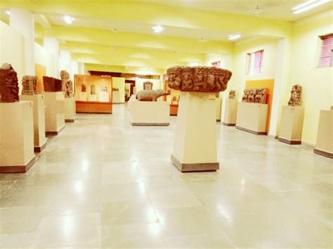 Top thing to do in Allahabad Museum (2021) | All about Allahabad Museum ...