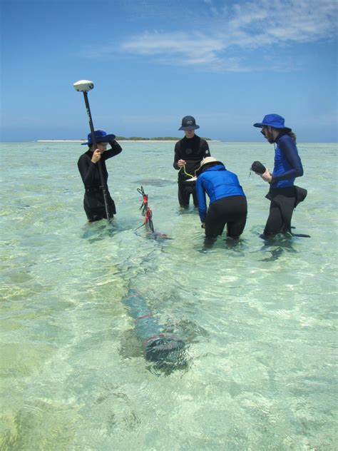 Future health of coral reefs written in sand | The National Tribune