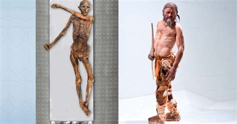 Mysteries of Ötzi the Iceman Mummy: New DNA Analysis Reveals Surprising ...