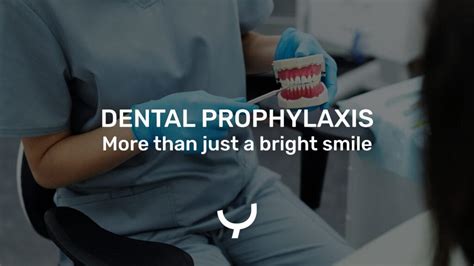 Dental prophylaxis - All about the topic | YAS.life