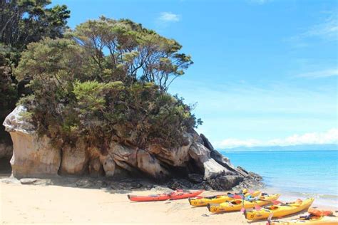 Abel Tasman Kayak and Walk: Go Kayaking in Abel Tasman National Park