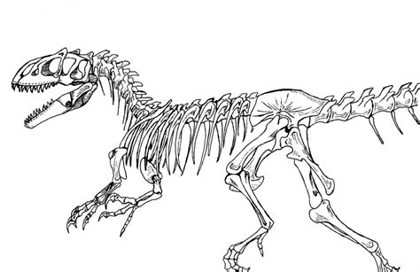 Dinosaur Skeleton Drawing at GetDrawings | Free download