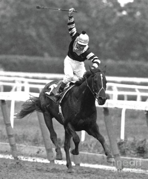 Seattle Slew, Triple Crown Champion, Belmont Stakes Mixed Media by Thomas Pollart