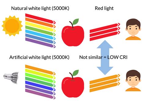 What is CRI of a light? - Blog | Lucas LED