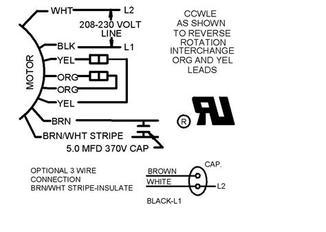 Dayton 3/4 Hp 115v Electric Motors Wiring Diagram