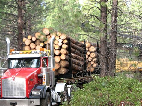 Plan to protect vulnerable species in Western Oregon forests moves ...