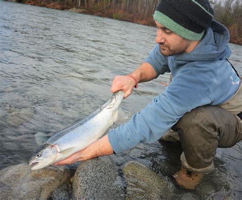 Skykomish River - Fish Reports & Map