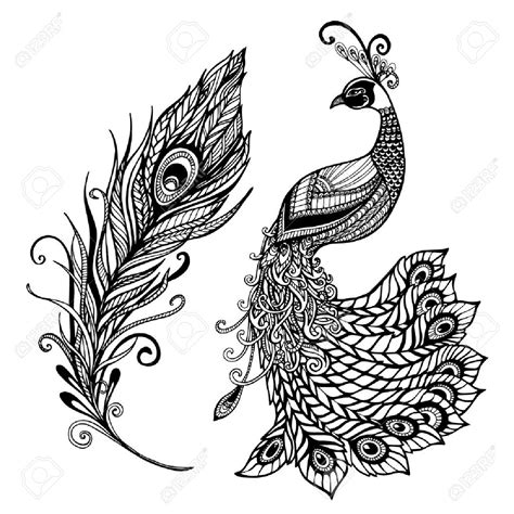 Peacock Drawing Tattoo at GetDrawings | Free download