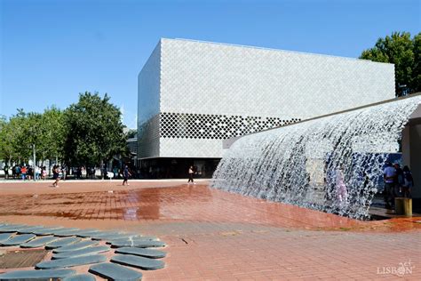 The Lisbon Aquarium, more than an Underwater Journey • getLISBON