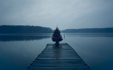 Christmas Tree On Pier, HD Nature, 4k Wallpapers, Images, Backgrounds ...