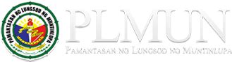 Management Information System - PLMun Portal