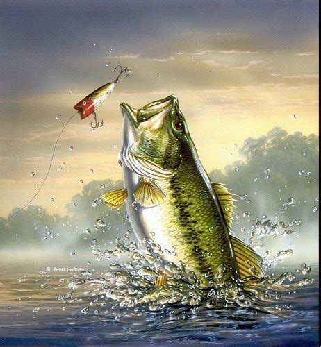 Free Bass Fishing Wallpaper - WallpaperSafari