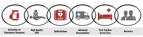 Adult Chain Of Survival Cpr - McNeal Aune1955