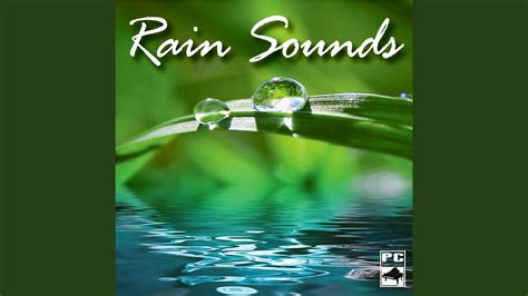 Wind and Rain Sound Effects - YouTube