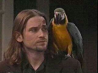 Todd Manning and his parrot Moose on One Life To Live mid 90s | Roger ...