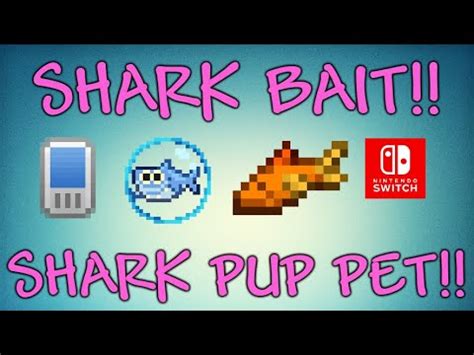 How To Find Sharkbait (Shark Pup Pet) Terraria Mobile And Switch 1.4.3.2 - YouTube