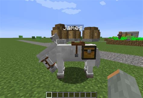 Normal Horse Carries Chest Like Donkey/Mule! Minecraft Blog