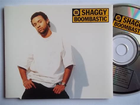 Page 2 - Shaggy Boombastic (Vinyl Records, LP, CD)