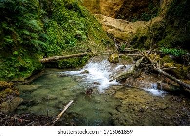 188 Blue hole jamaica Images, Stock Photos & Vectors | Shutterstock