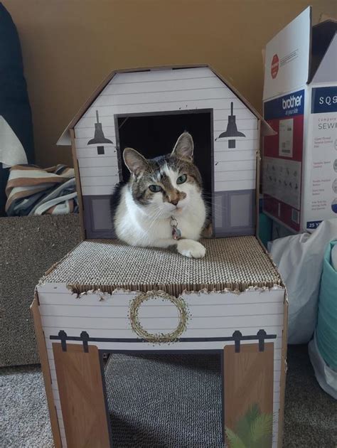 FRISCO Farmhouse Cardboard Cat House, 2-Story - Chewy.com