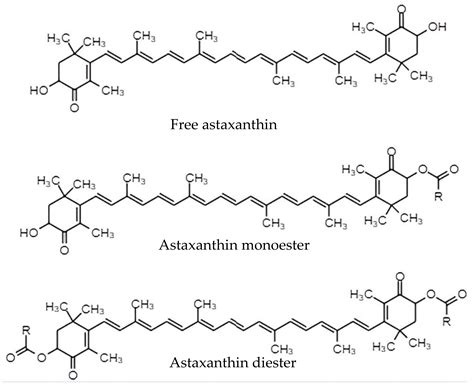 Antioxidants | Free Full-Text | Nanocarrier System: State-of-the-Art in Oral Delivery of Astaxanthin