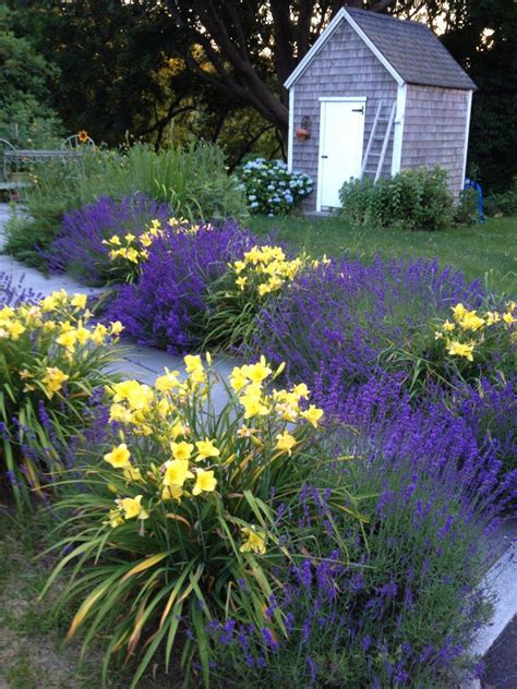 17 Daylily Garden Ideas To Try This Year | SharonSable