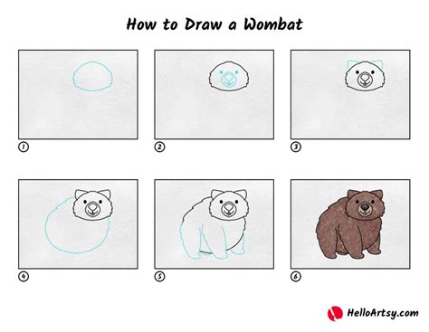 How to Draw a Wombat - HelloArtsy