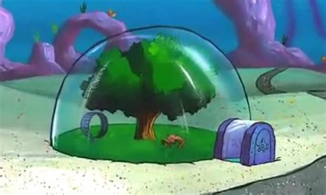 This Epic Tent Looks Just Like Sandy Cheeks' House From 'Spongebob Squarepants'