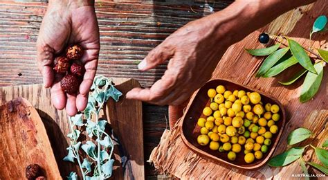 Aboriginal Chefs: Australian Bush Tucker Cooking