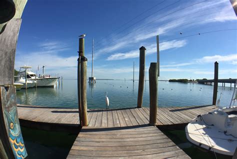 Robbie's in Islamorada, Florida Keys: Fishing, boat rentals