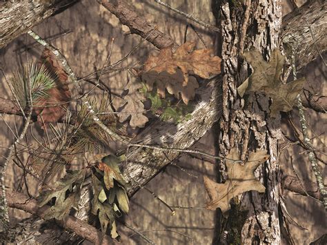 Mossy Oak Break-Up Country | theoutdoorwriter