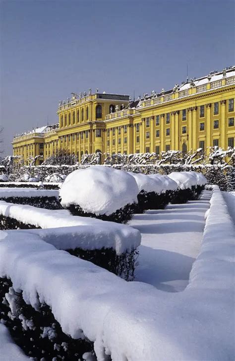 Vienna - Top 10 things to do in Christmas and Winter Time - The Vienna ...