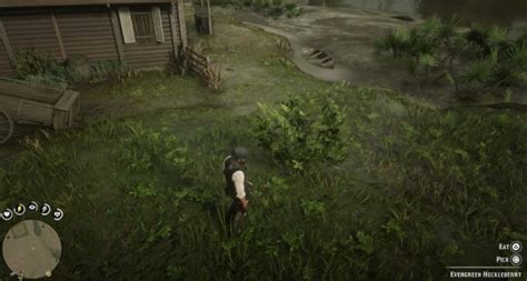 RDR2 Online: Where to Find Evergreen Huckleberry Location | AlfinTech Computer