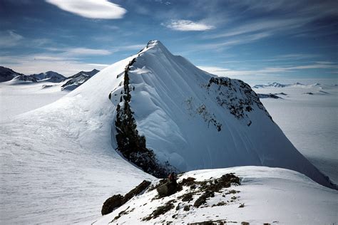 A Rainforest In Antarctica | A Moment of Science - Indiana Public Media