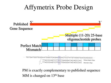 PPT - Lo w -Level Analysis of Affymetrix Data PowerPoint Presentation, free download - ID:1356103