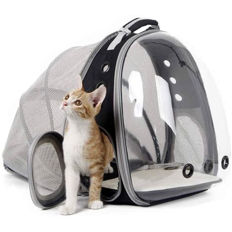 Top 10 Best Cat Backpack Carriers in 2023 Reviews | Buyer's Guide