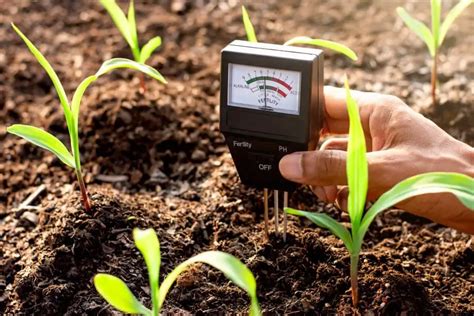 How to Measure and Adjust pH Levels in Soil – With & Without a Kit – The Spicy Trio