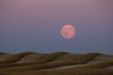 Harvest Moon